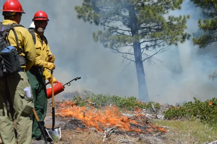 Conspiracy theories about wildfires- Panayiotis Ioakimidis