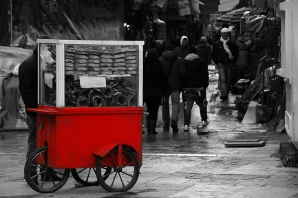 An analysis of Turkey – Ioannis N. Grigoriadis