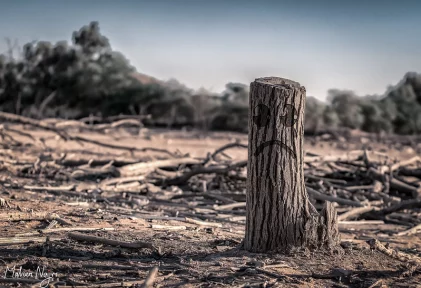 Climate crisis and (towards) the European elections – George Dikaios