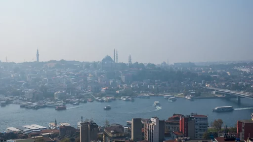 A visit that exceeded expectations – Ioannis N. Grigoriadis