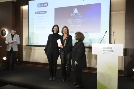 Lioncode and the Climate Change Hub take silver award in the “Green Synergies” category