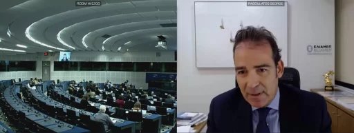 George Pagoulatos at the Conference on the Future of Europe