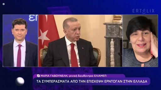 “Both sides decided that they will not touch the very big issues” – Maria Gavouneli