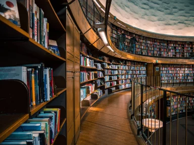 The debate on the universities that didn’t happen – Dimitri A. Sotiropoulos