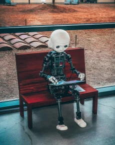 Artificial Intelligence in public administration – Mihalis Kritikos