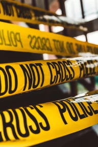 Why organised crime is hard to tackle – Triantafyllos Karatrantos