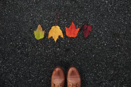 A changing world? – Maria Gavouneli