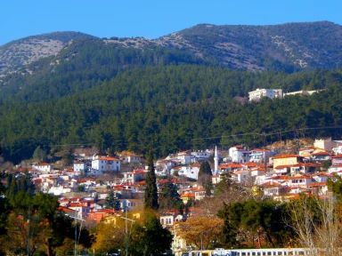 Preserving the unique Alevi-Bektashi spiritual and cultural heritage in Greek Thrace – Evangelos Areteos
