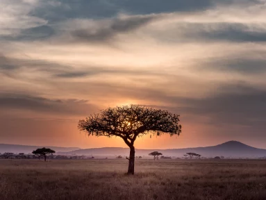 A new chapter in Greek-African relations or a flash in the pan? – Ioannis N. Grigoriadis