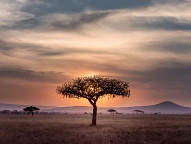 Greece joins the running in Africa – Gabriel Haritos