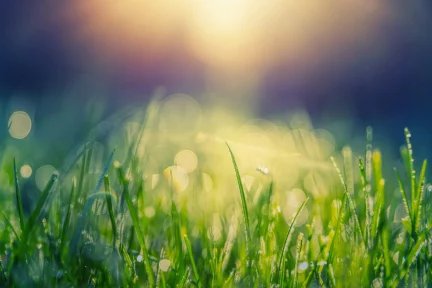 In search of climate-conscious successors for the EU leadership – George Dikaios & Othon Kaminiaris