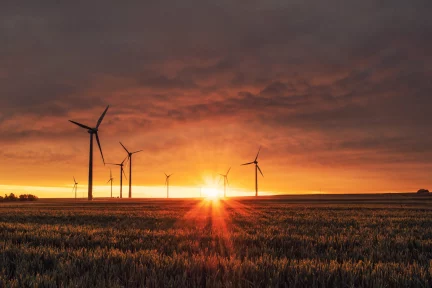 Natural gas: Energy autonomy is missing from EU texts – Marika Karagianni