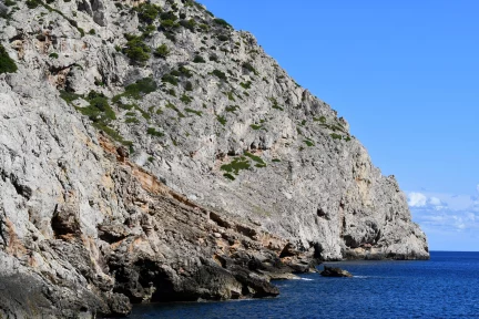 Foreign policy is in a complete impasse – Sotiris Wallden