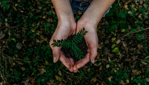 Regularity, durability, sustainability – Dimitri A. Sotiropoulos
