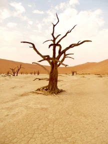 Climate change: A humanitarian crisis in progress – Emmanuella Doussis and Cheryl Novak