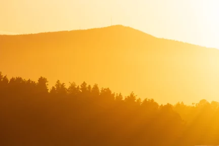 How seriously have the Greeks taken the Climate Crisis? – Maria Logotheti