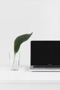 Digital technology as a key pillar of a new island policy – Mihalis Kritikos