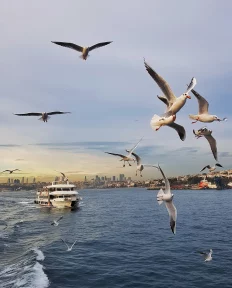 Critical issues facing Turkey in 2023 – Ioannis N. Grigoriadis