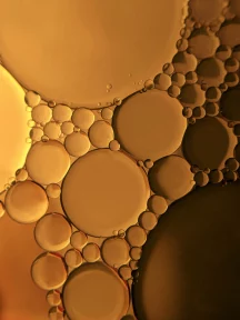 Biofuels: where the energy and food crises intersect – Georgios Manalis