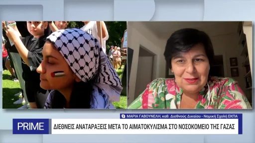 Global concern about a new cycle of violence – Maria Gavouneli