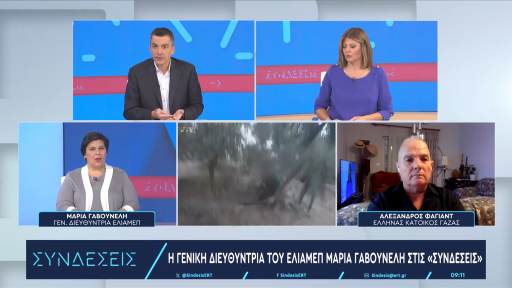“The situation cannot be resolved without a political agreement” – Maria Gavouneli
