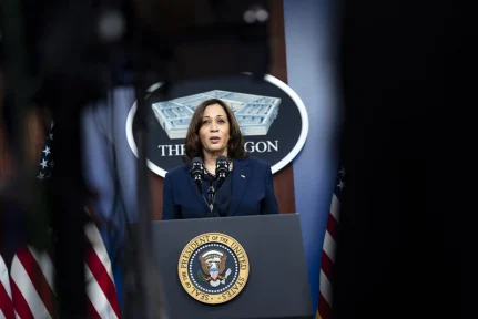 The End(?) of Democratic delusions