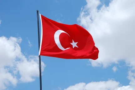 The silent agony of Greece: Turkey in Syria