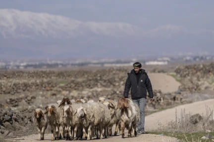 Syria: analyzing the new regime’s first steps on the international and domestic stages