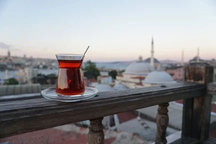Turkish TV series: soft power and repression