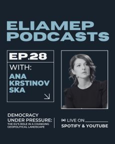EMBRACE | EMBRACing changE – Overcoming Blockages and Advancing Democracy in the European Neighbourhood