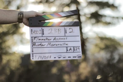 Final report on the mapping and EU law of institutional models for the promotion of the European Film Industry (EFI)