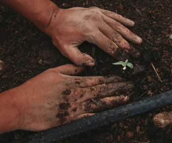 The radicalization of Greek farmers