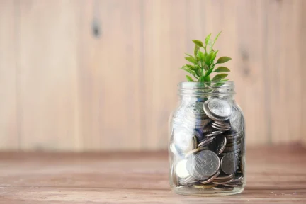 After the Recovery Fund, what next?