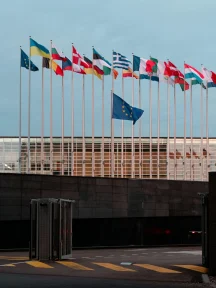 Opinion Summary – A Vision for a United Europe