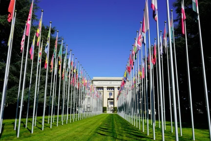 Is there a future for international organizations?