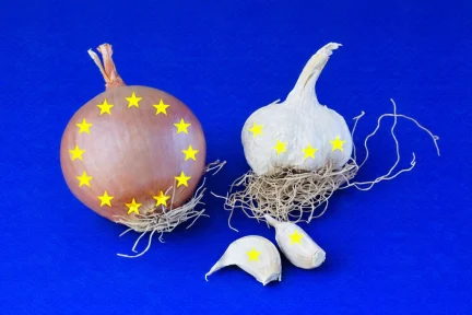 The EU of enhanced cooperation: “onion” or “garlic”?