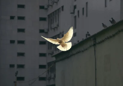 The Next Day: When Peace Arrives, Where the Silver Linings Lie