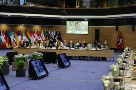 The EU Single Market: Striking a Balance Between Flexibility and Uniformity