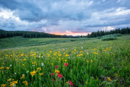 When Geopolitics Prevails over the Environment
