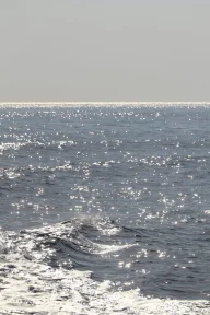 The Sea’s Voice